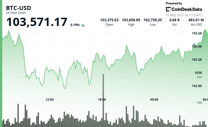 24 hours chart of the price of BTC