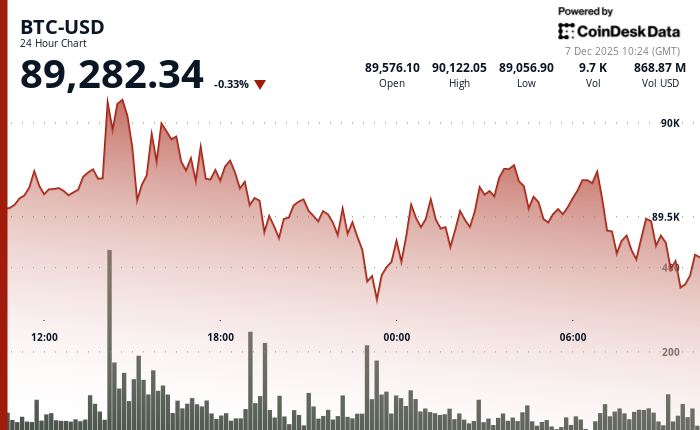 24 hours chart of the price of BTC