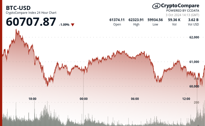 24 hours chart of the price of BTC