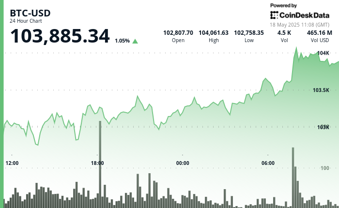 24 hours chart of the price of BTC