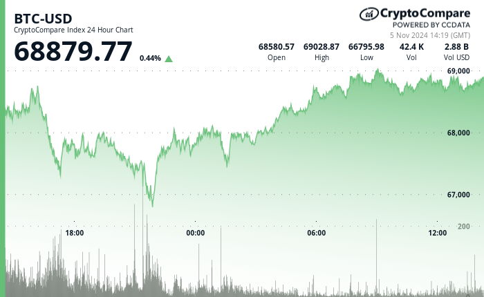 24 hours chart of the price of BTC