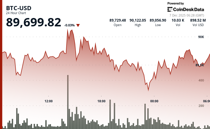 24 hours chart of the price of BTC