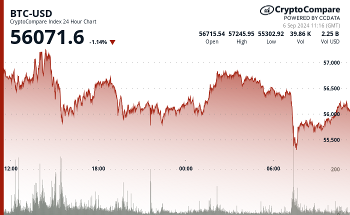 24 hours chart of the price of BTC