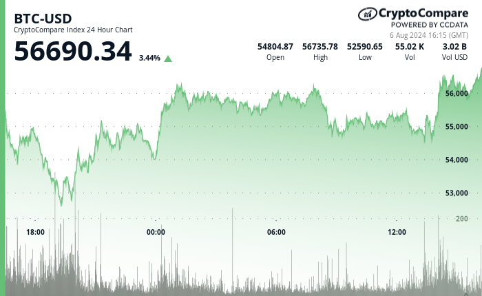 24 hours chart of the price of BTC