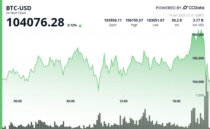 24 hours chart of the price of BTC