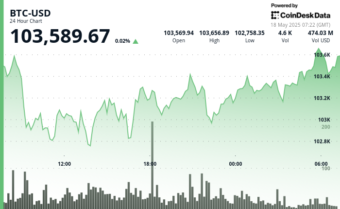 24 hours chart of the price of BTC