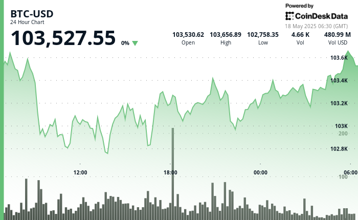 24 hours chart of the price of BTC