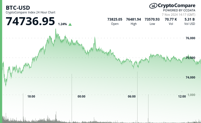 24 hours chart of the price of BTC