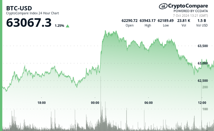 24 hours chart of the price of BTC