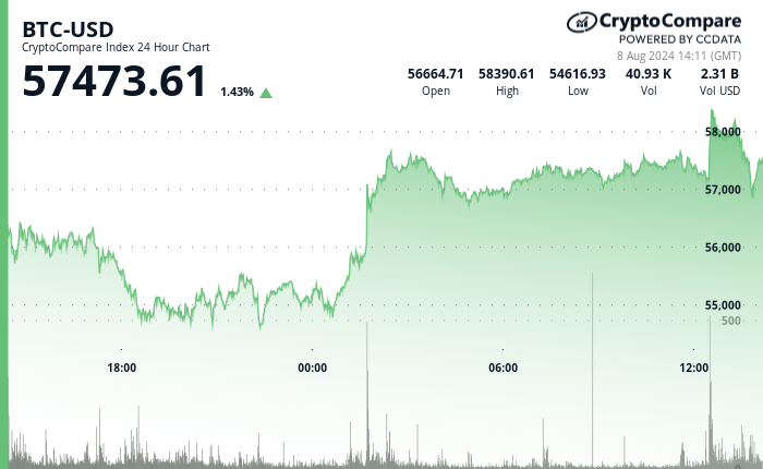 24 hours chart of the price of BTC