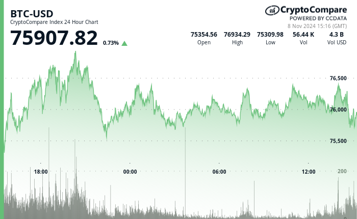 24 hours chart of the price of BTC