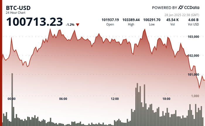 24 hours chart of the price of BTC