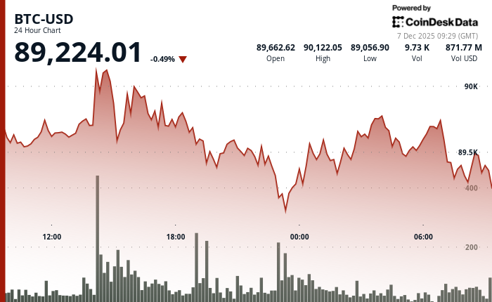 24 hours chart of the price of BTC