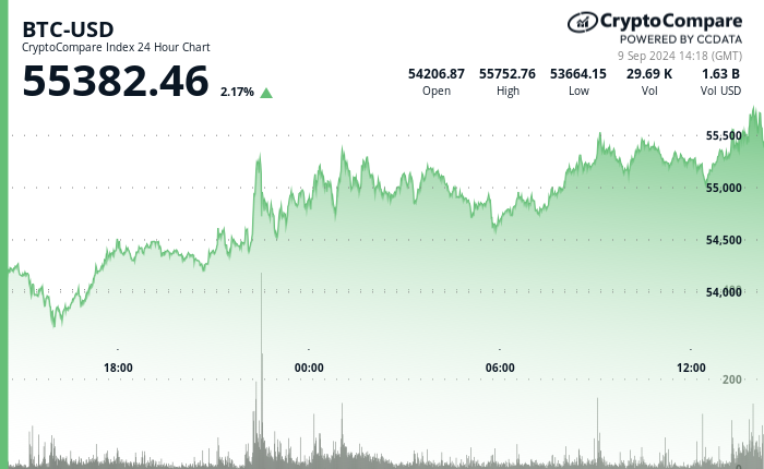 24 hours chart of the price of BTC