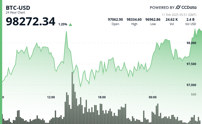 24 hours chart of the price of BTC