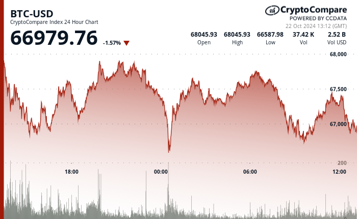 24 hours chart of the price of BTC