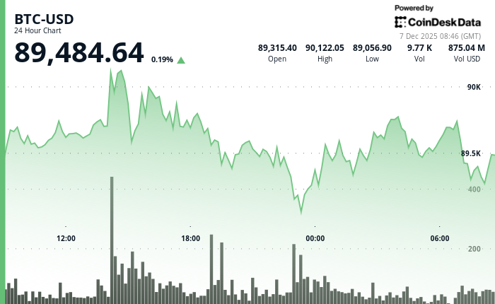 24 hours chart of the price of BTC