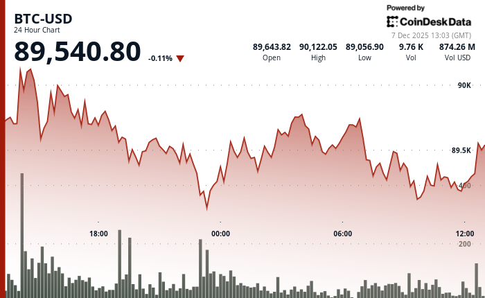 24 hours chart of the price of BTC