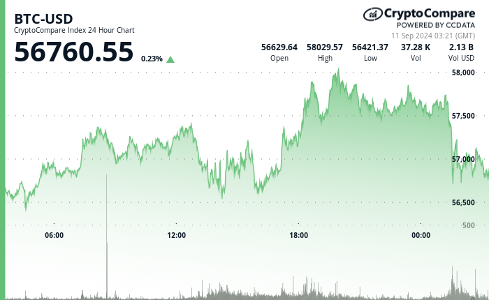 24 hours chart of the price of BTC