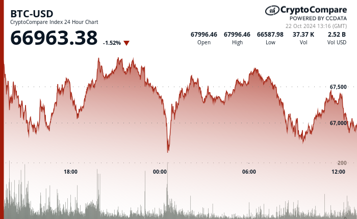 24 hours chart of the price of BTC