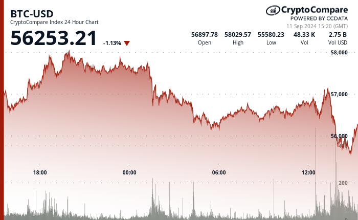 24 hours chart of the price of BTC