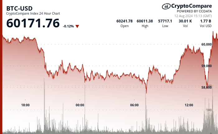 24 hours chart of the price of BTC