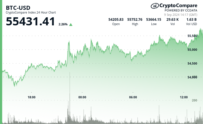 24 hours chart of the price of BTC