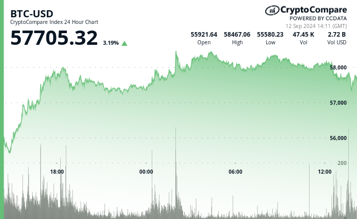 24 hours chart of the price of BTC