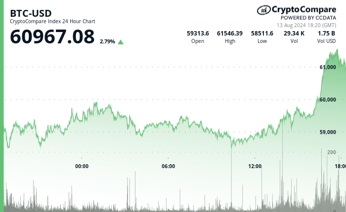 24 hours chart of the price of BTC