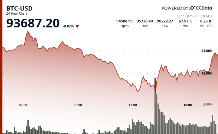 24 hours chart of the price of BTC