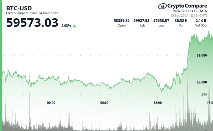 24 hours chart of the price of BTC