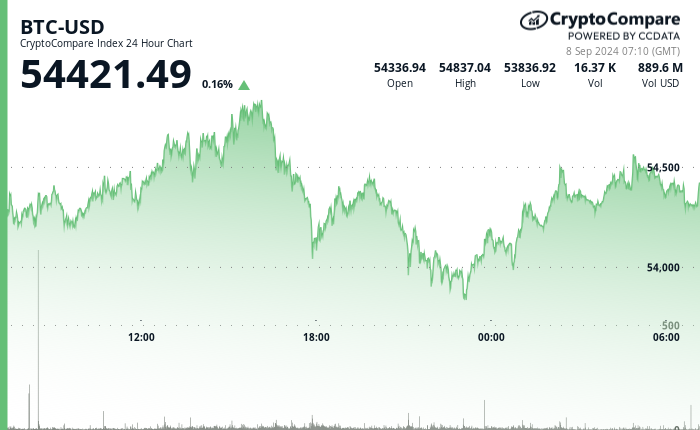 24 hours chart of the price of BTC