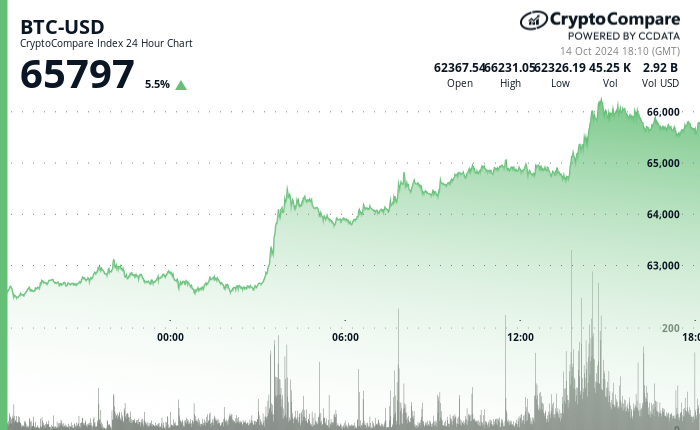 24 hours chart of the price of BTC