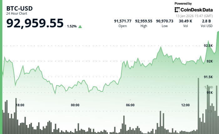 24 hours chart of the price of BTC
