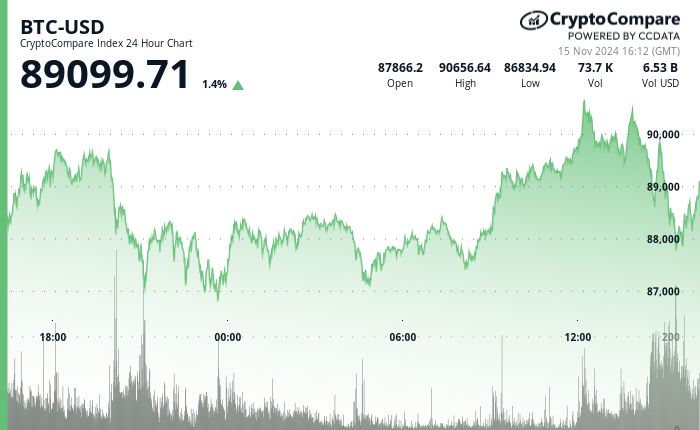 24 hours chart of the price of BTC