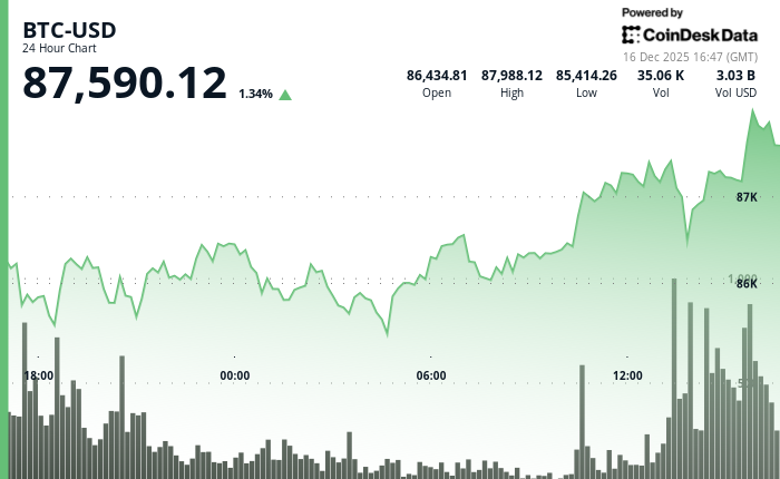 24 hours chart of the price of BTC