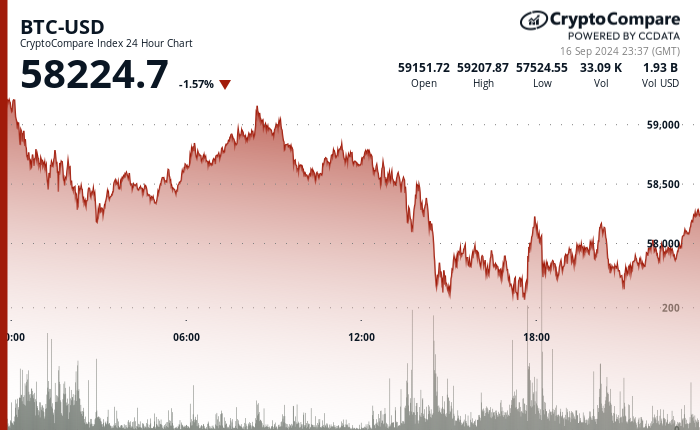 24 hours chart of the price of BTC