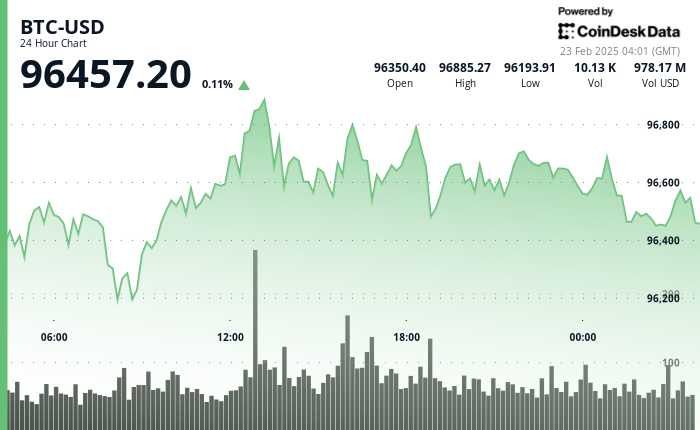 24 hours chart of the price of BTC