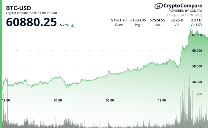 24 hours chart of the price of BTC