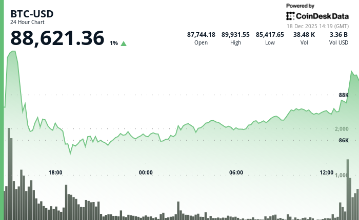 24 hours chart of the price of BTC
