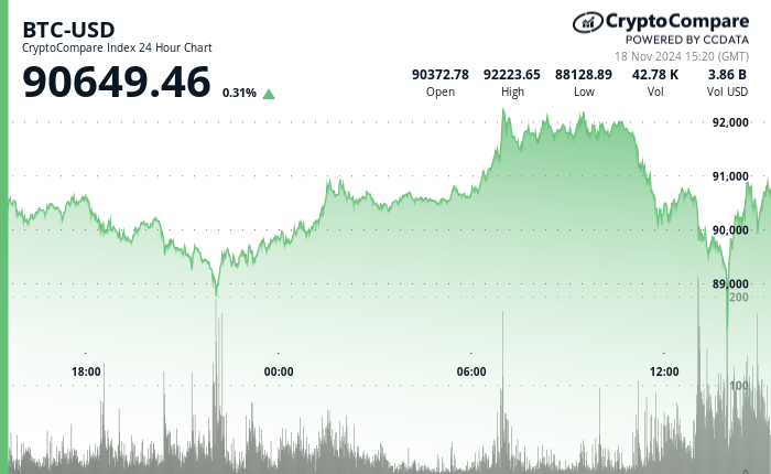 24 hours chart of the price of BTC