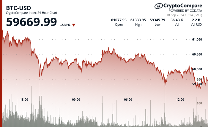 24 hours chart of the price of BTC