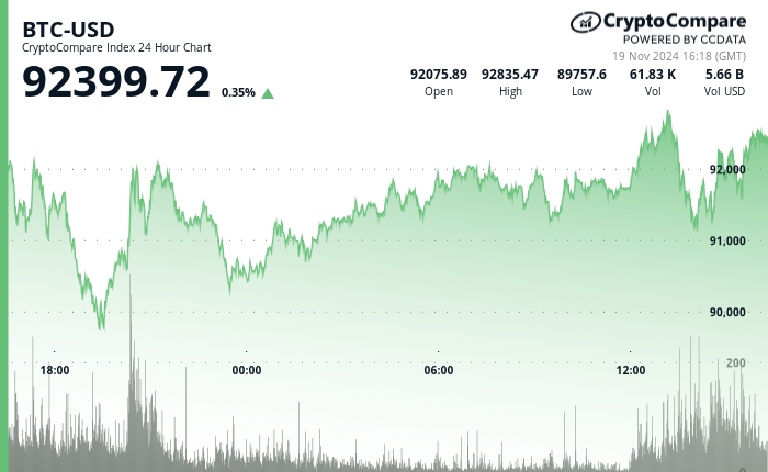 24 hours chart of the price of BTC