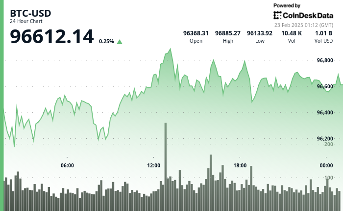 24 hours chart of the price of BTC