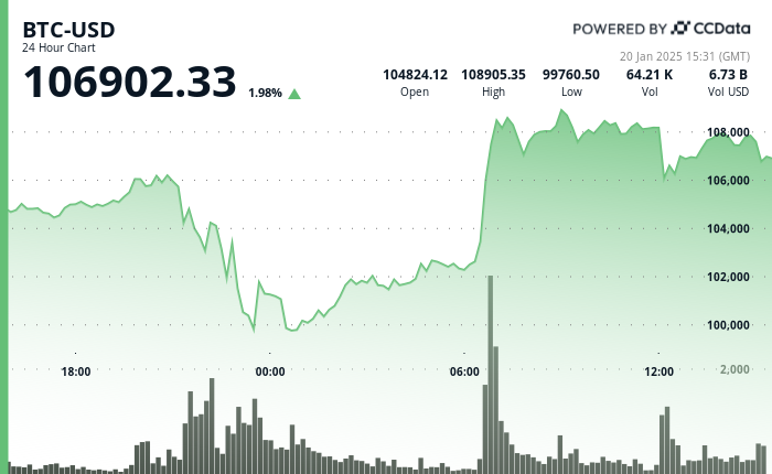 24 hours chart of the price of BTC