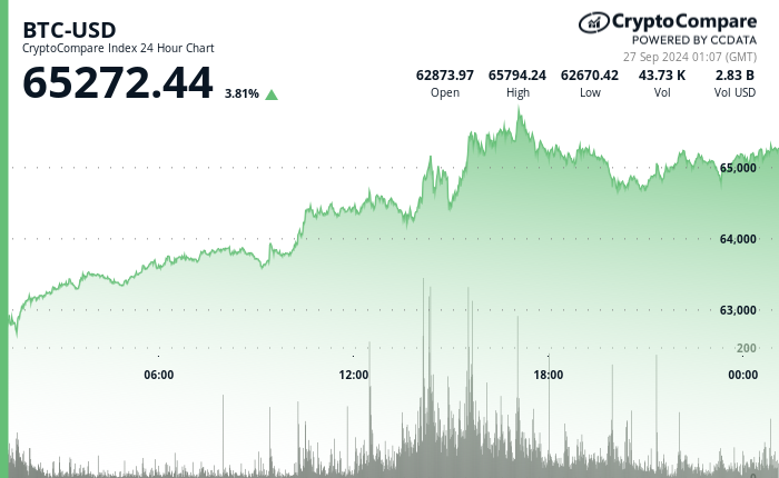 24 hours chart of the price of BTC