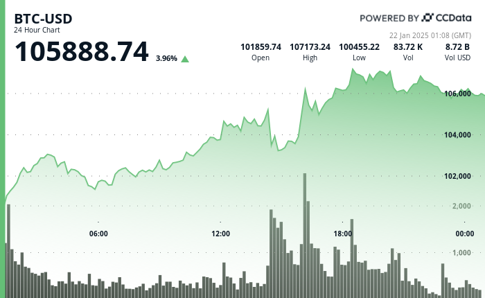 24 hours chart of the price of BTC