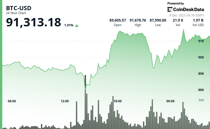 24 hours chart of the price of BTC