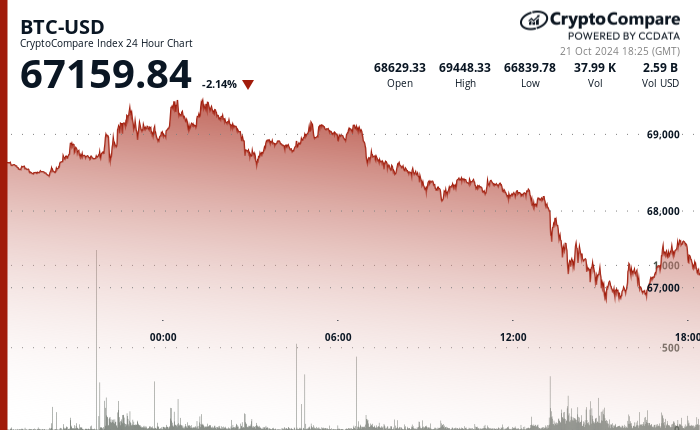 24 hours chart of the price of BTC