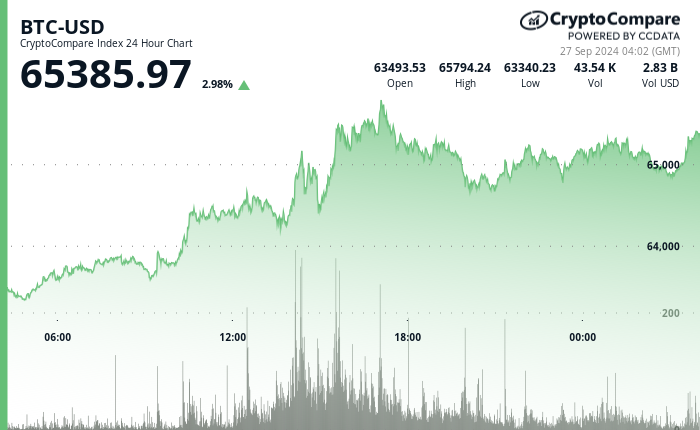 24 hours chart of the price of BTC